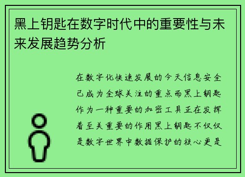 黑上钥匙在数字时代中的重要性与未来发展趋势分析