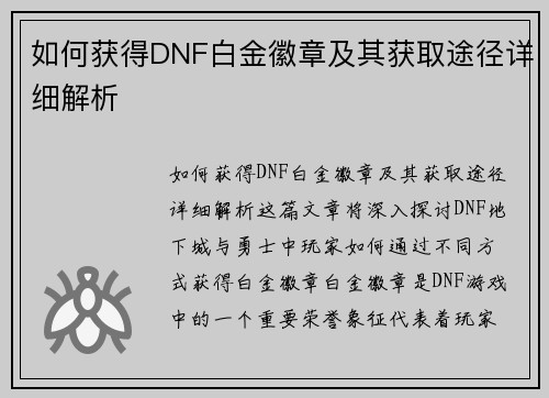 如何获得DNF白金徽章及其获取途径详细解析